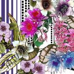Colour:A
