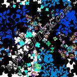 Colour:F