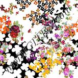 Colour:A