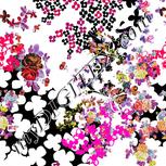 Colour:B
