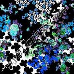 Colour:F