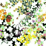 Colour:K