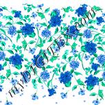 Colour:A