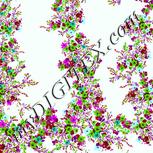 Colour:C