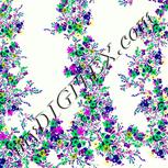 Colour:D