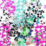Colour:C