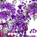 Colour:B