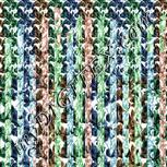 Colour:F