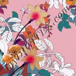 Colour:B