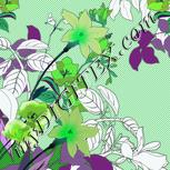 Colour:C