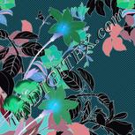 Colour:F