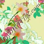 Colour:K
