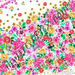 Colour:B