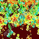 Colour:K