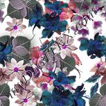 Colour:B