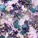 Colour:F