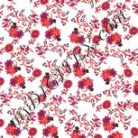 Colour:B