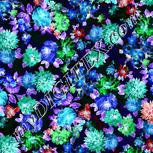 Colour:F