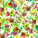 Colour:K