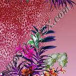 Colour:B