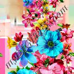 Colour:A