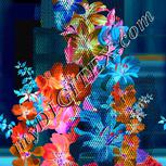 Colour:F