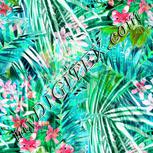 Colour:A