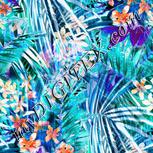 Colour:B