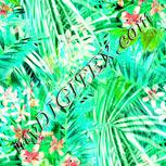 Colour:K
