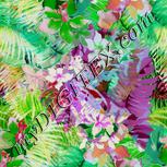 Colour:A