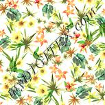 Colour:K