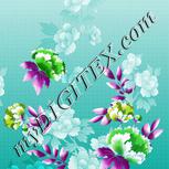 Colour:B
