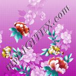 Colour:C