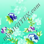 Colour:K