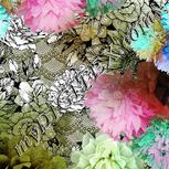 Colour:B