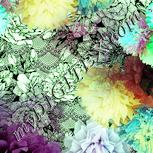 Colour:K
