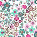Colour:B