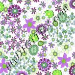 Colour:D