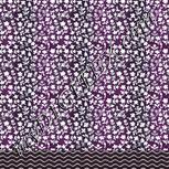 Colour:B