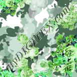 Colour:C