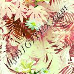 Colour:K