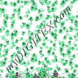 Colour:C