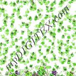 Colour:D
