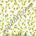 Colour:K
