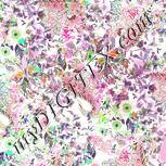 Colour:B