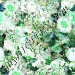 Colour:C