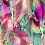 Colour:B