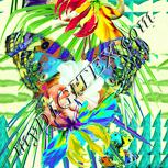 Colour:K