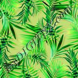 Colour:K