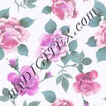 Colour:B